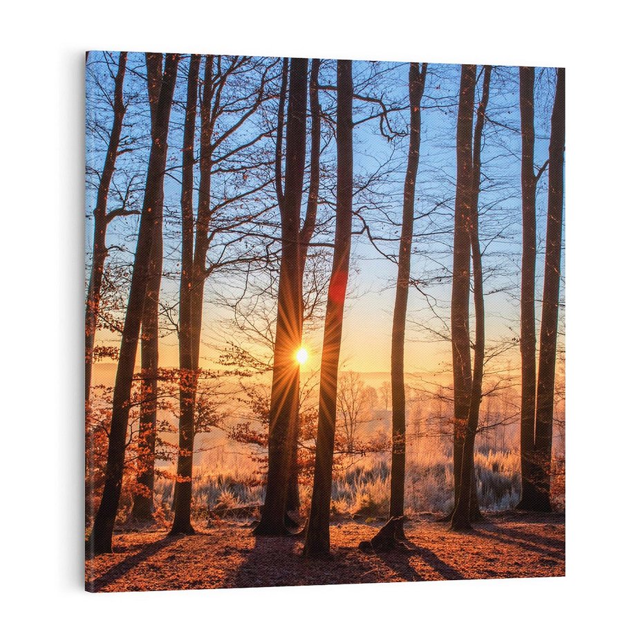 Obraz na płótnie 70x70 - Piękno lasu - las, drzewa