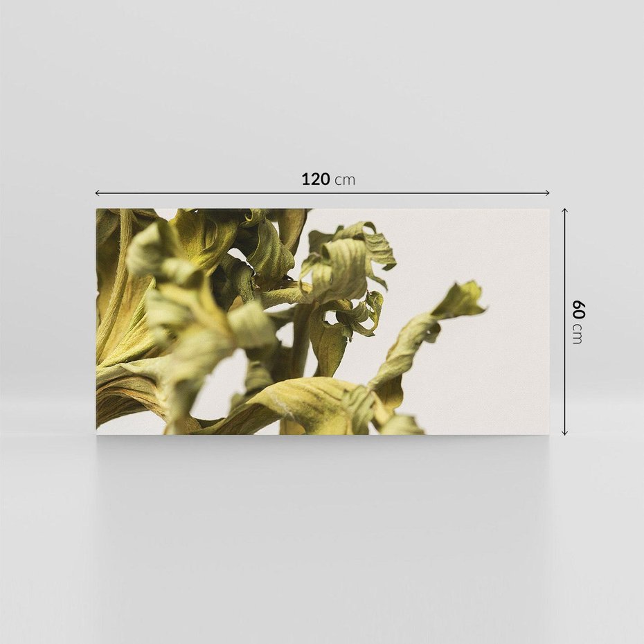 Obraz na płótnie 120x60 - Odejście pory deszczowej - suche, trawy