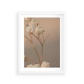 Plakat w ramie 30x40 - Subtelna gipsówka - gipsówka, suche - rama biała