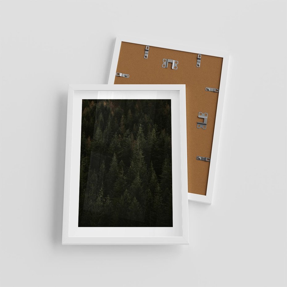 Plakat w ramie 30x40 - Ciemny las iglasty - las, iglasty - rama biała