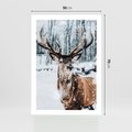 Plakat bez ramy 50x70 - Jeleń na Zdjęciu pod Śniegiem - jeleń, zima