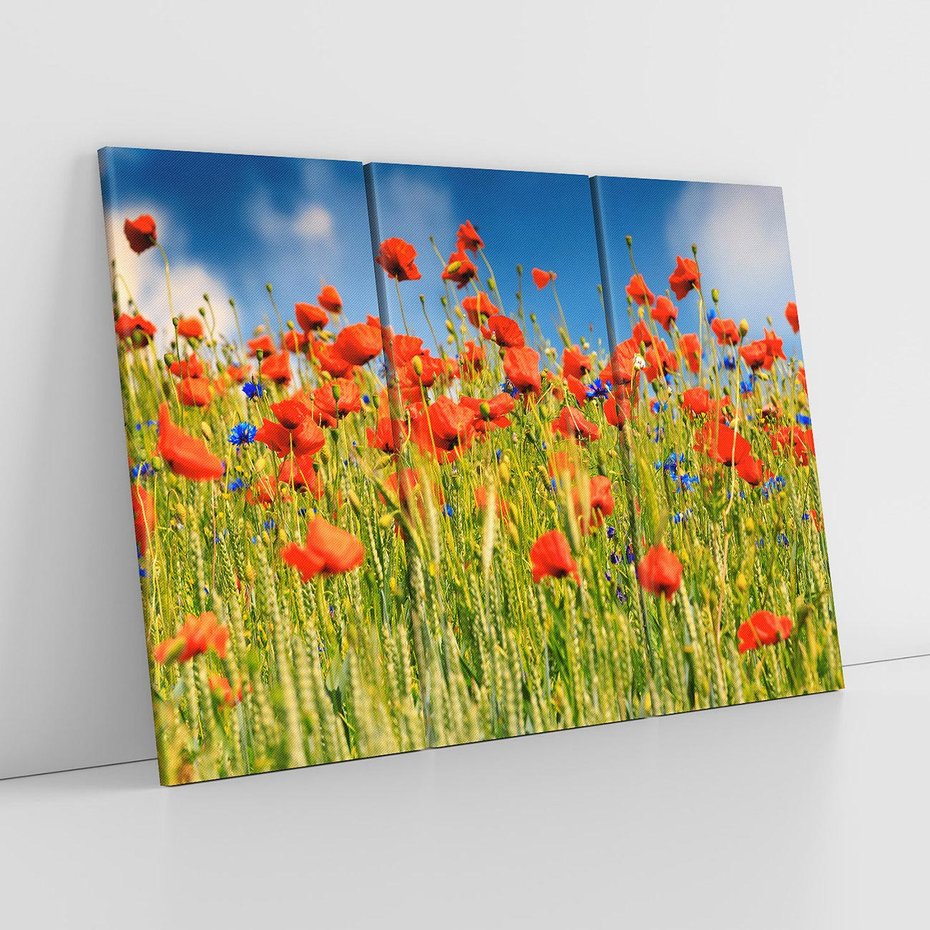 Obraz na płótnie 120x80 - Delikatne maki na kolorowej łące - mak, maki