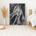 Obraz w ramie 80x120 - Siła Natury - czarno biała fotografia, korzenie wielkiego drzewa - rama biała