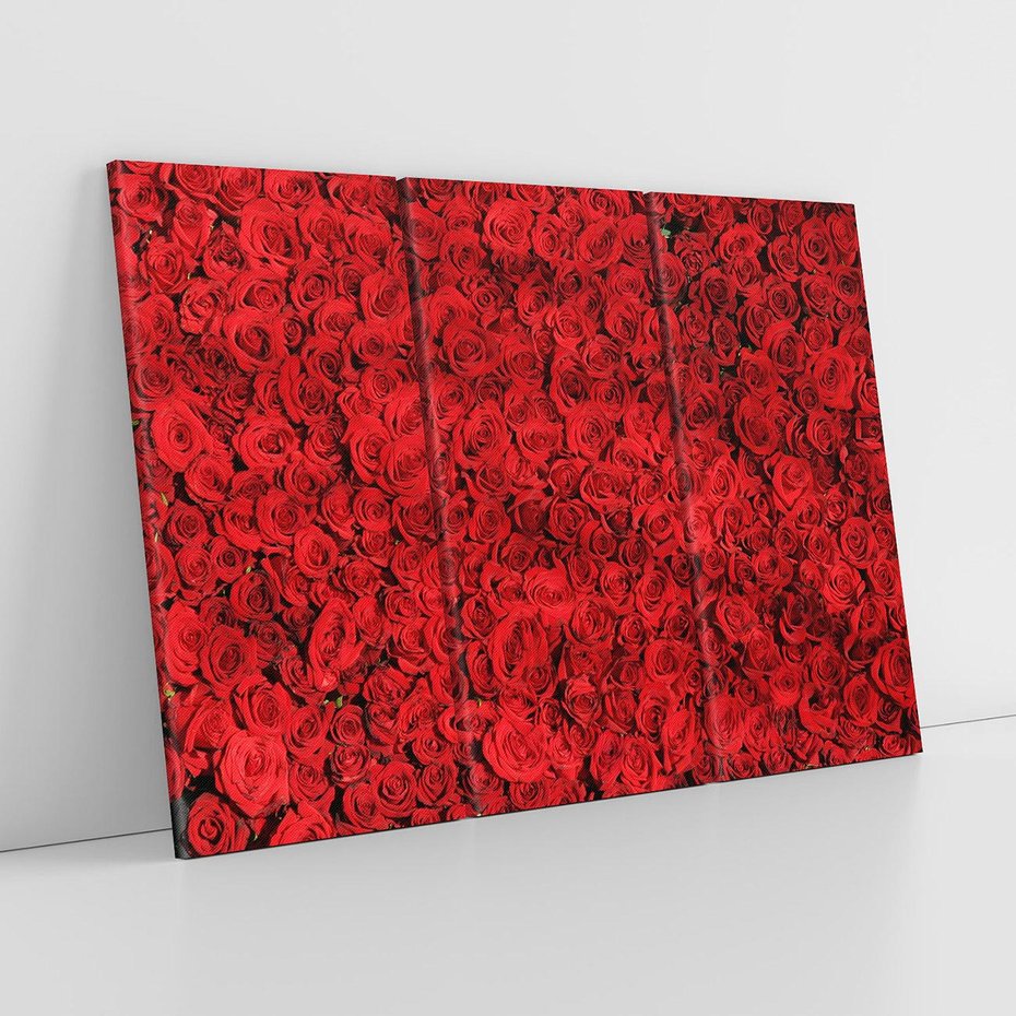 Obraz na płótnie 120x80 - Czerwona Pasja - czerwone, róże