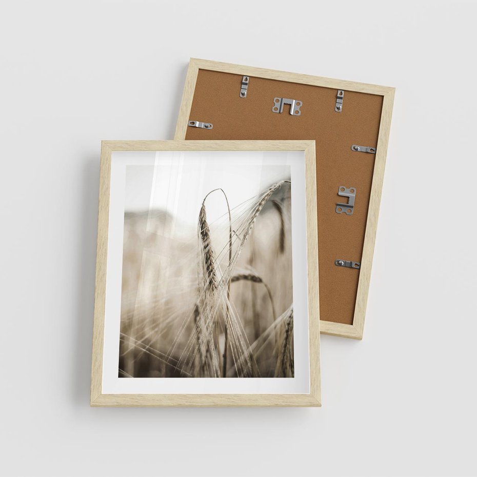 Plakat w ramie 40x50 - Kłosy Pszenicy w Sepii - zboże, kłos pszenicy - rama drewno