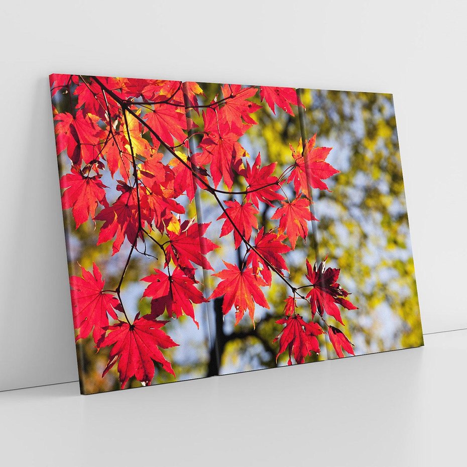 Obraz na płótnie 120x80 - Jesienny Urok Drzewa i Opadających Liści - drzewo, liście