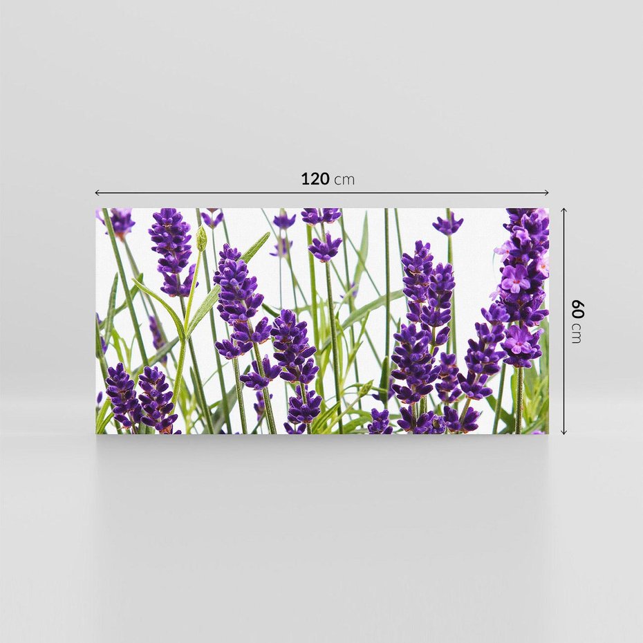 Obraz na płótnie 120x60 - Fioletowa harmonia lawendy - lawenda, fiolet
