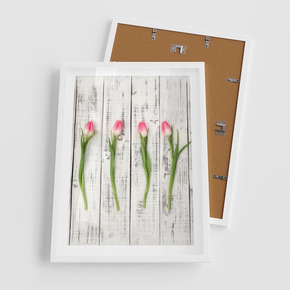 Plakat w ramie 50x70 - Kwintesencja Piękna - kwiaty, tulipany - rama biała