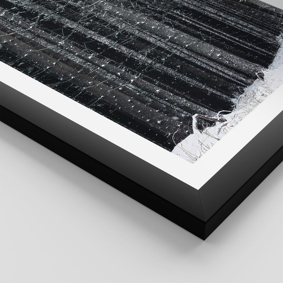 Plakat w ramie 30x40 - Leśna Cisza: Malowniczy Pejzaż Zimą - las zimą, ośnieżone pnie drzew - rama czarna