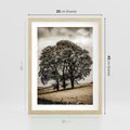 Plakat w ramie 30x40 - Spokojna Osamotniona Chwila - beżowe kolory, samotne drzewo na polu - rama drewno