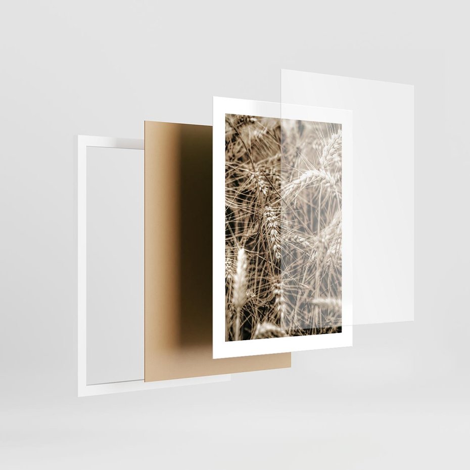 Plakat w ramie 30x40 - Zbliżenie na Kłosy Zboża - zboża, kłosy zboża - rama biała
