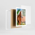 Plakat w ramie 30x40 - Elegancki wierzchowiec - koń, portret - rama biała