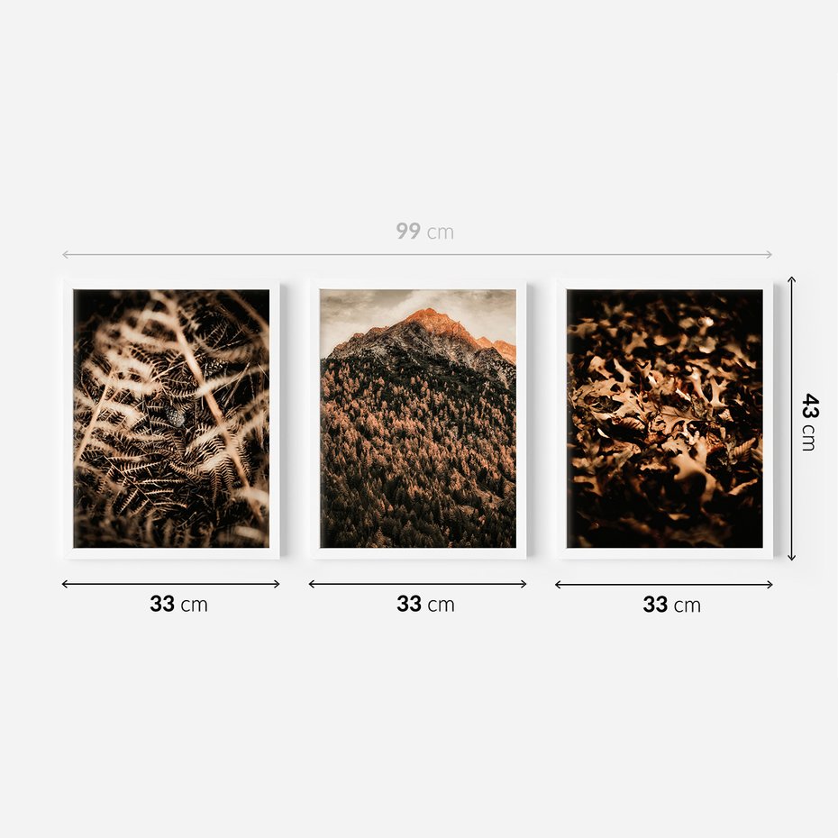 Zestaw obrazy w ramie 30x40 galeria - Góry, jesień, liście, boho - rama biała