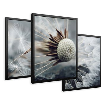 Zestaw obrazy w ramie 30x40 galeria - Dmuchawce, makro, natura, kwiaty - rama czarna