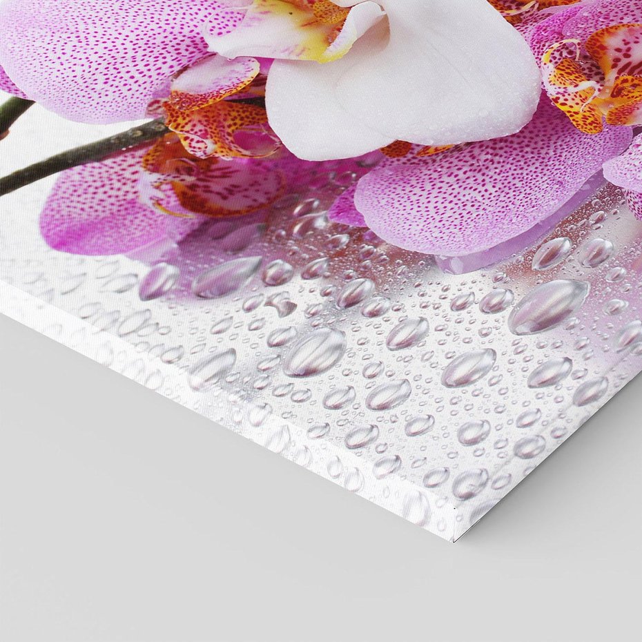 Obraz na płótnie 120x80 - Magia kwiatów - kwiaty