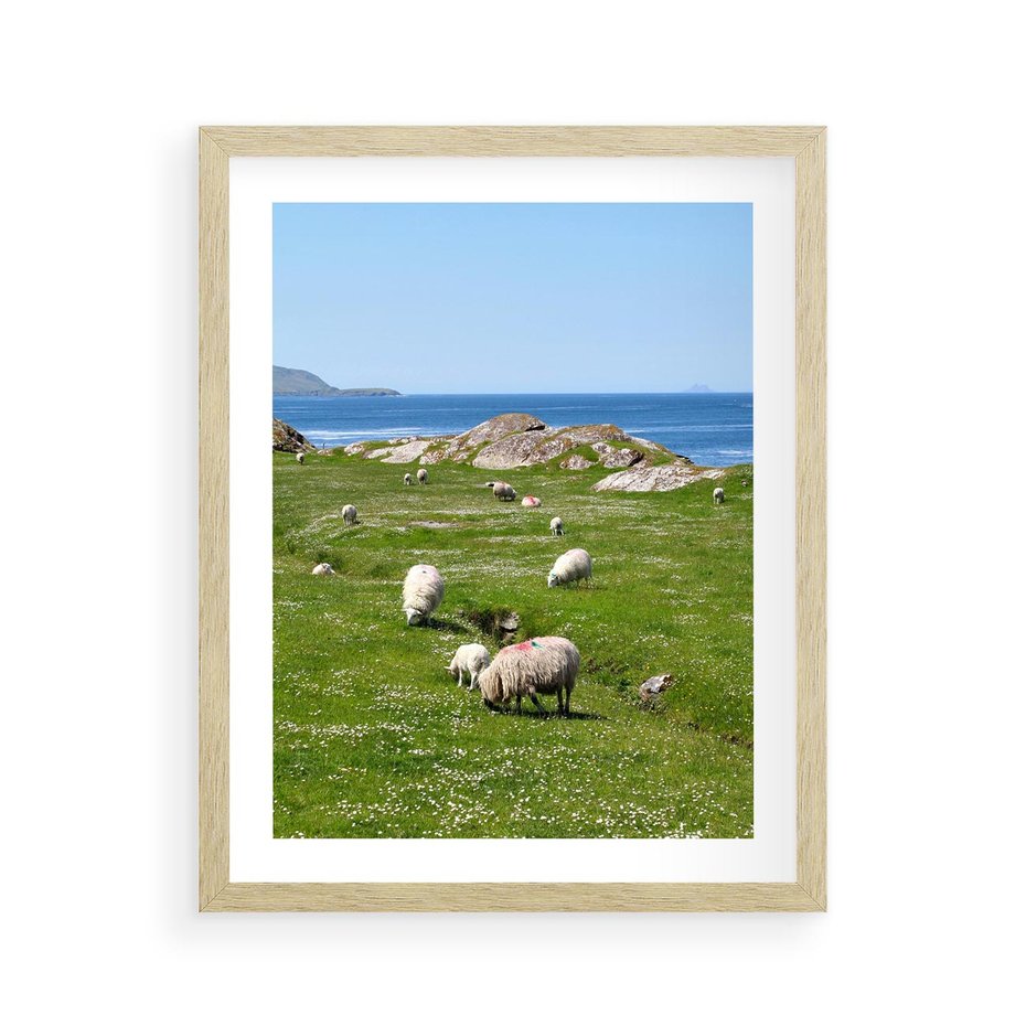 Plakat w ramie 40x50 - Górskie Owce - góry, owce - rama drewno