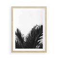 Plakat w ramie 50x70 - Tropikalna Uroda w Czerni i Bieli - fotografia czarno biała, liście palmy - rama drewno