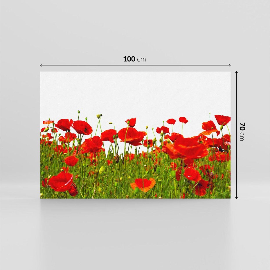 Obraz na płótnie 100x70 - Bujne maki na malowniczej łące - mak, maki