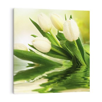 Obraz na płótnie 60x60 - Białe Piękno - białe, tulipany