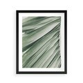 Plakat w ramie 40x50 - Tropikalna Oaza - zielony liść palmy, zieleń - rama czarna