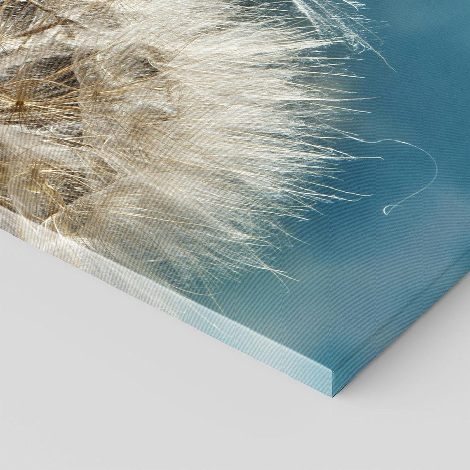 Obraz na płótnie 50x70 - Delikatność dmuchawców w pejzażu - dmuchawiec, kwiaty