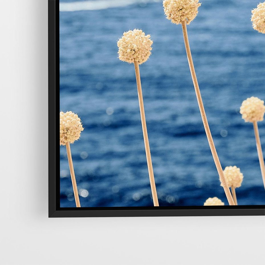 Obraz w ramie 50x50 - Kontrasty Natury - fotografia, pierwszy plan sucha roślinność - rama czarna