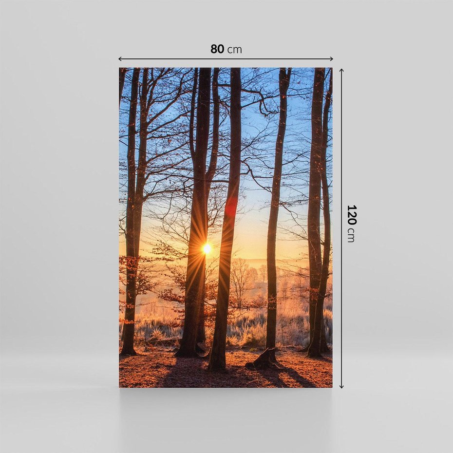 Obraz na płótnie 80x120 - Piękno lasu - las, drzewa