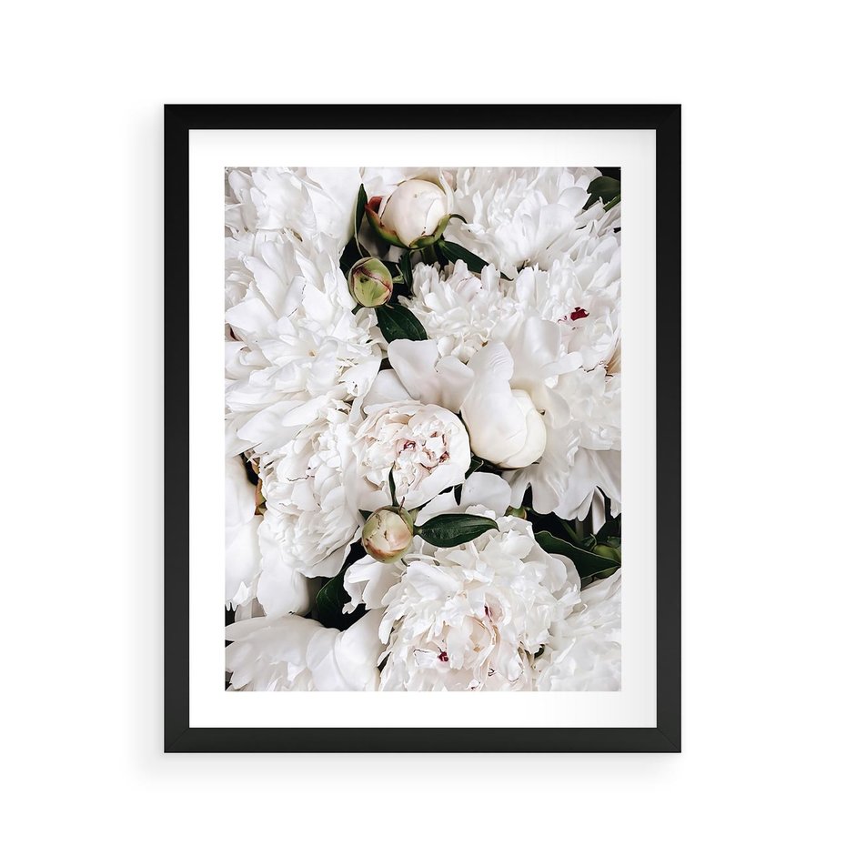 Plakat w ramie 40x50 - Modne Białe Kwiaty - białe kwiaty, płatki - rama czarna