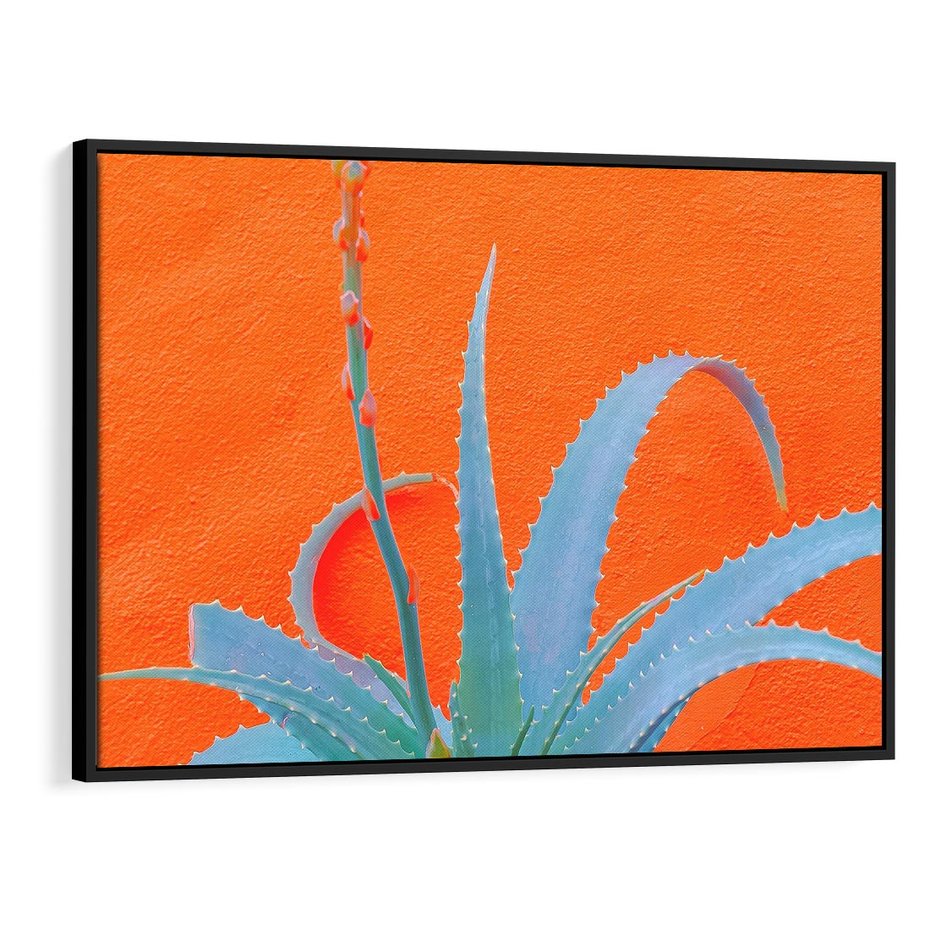 Obraz w ramie 70x50 - Naturalna Harmonia - kaktusy, liście - rama czarna