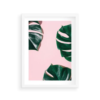Plakat w ramie 30x40 - Siła Natury - liście, monstera - rama biała