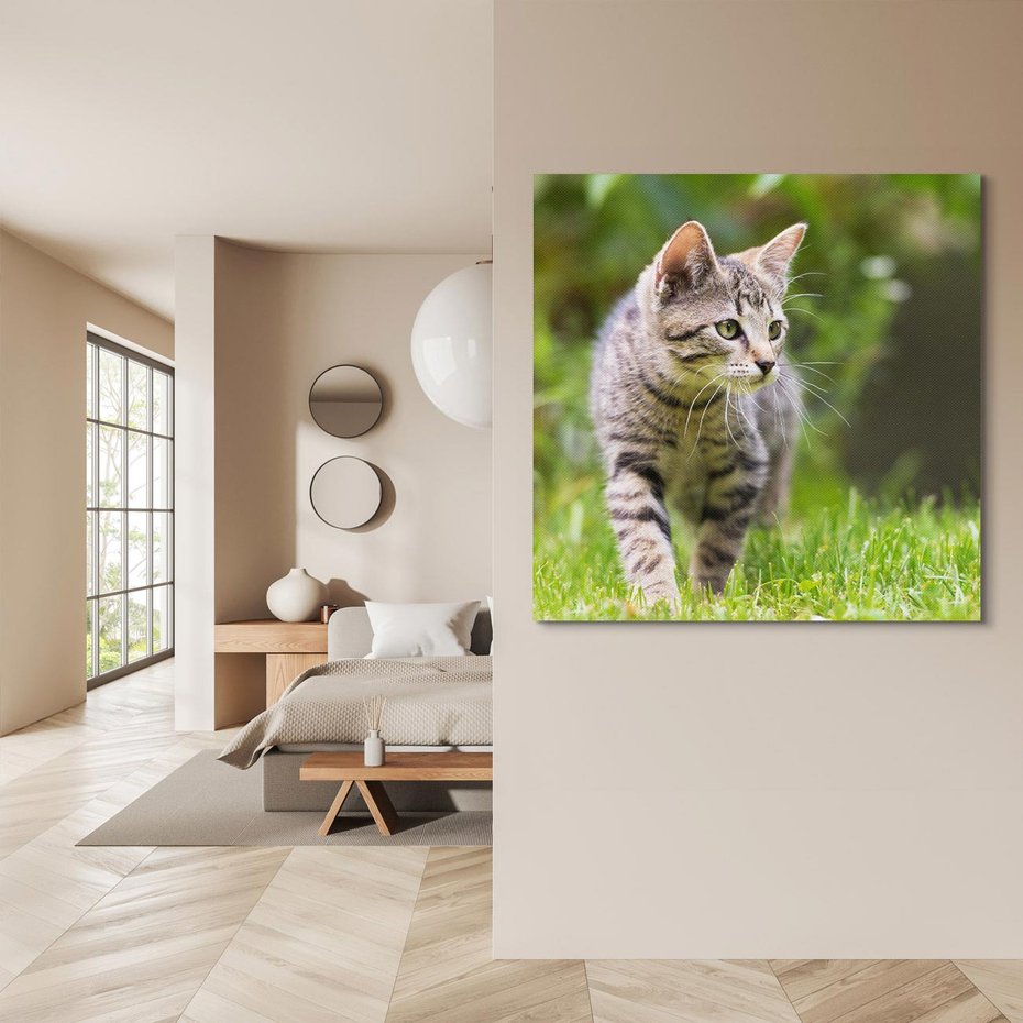 Obraz na płótnie 50x50 - Kocie polowanie w ogrodzie - kot, polowanie