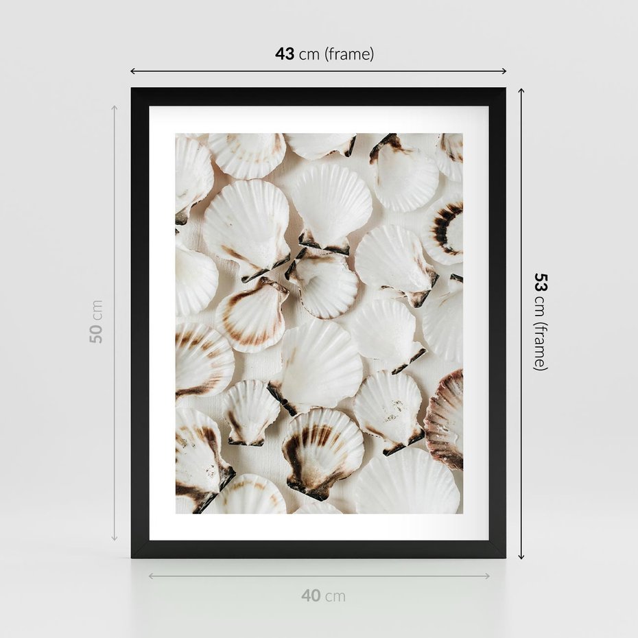 Plakat w ramie 40x50 - Białe Muszle - białe muszle, ujęcie z góry - rama czarna