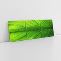 Obraz na płótnie 120x40 - Abstrakcja: interpretacje w liściach - liść, abstrakcja
