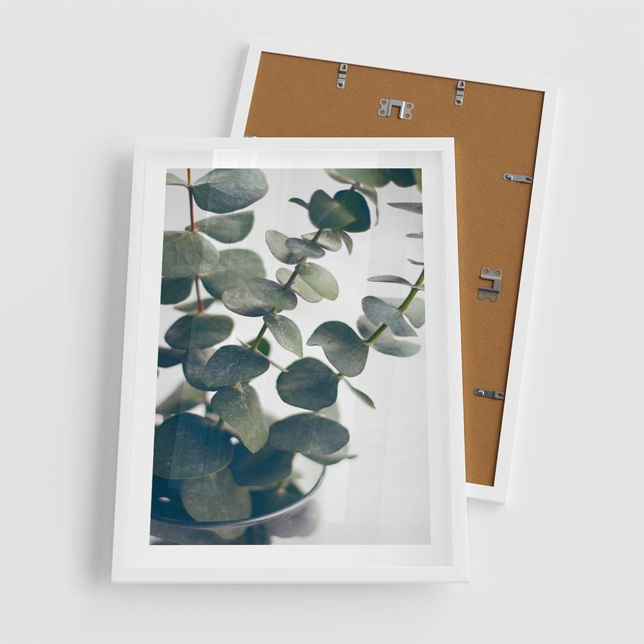 Plakat w ramie 50x70 - ukaliptusowa Harmonia - liście eukaliptusa - rama biała