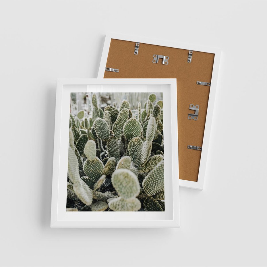 Plakat w ramie 40x50 - Kaktusowa Harmonia - kaktusy, fotografia - rama biała