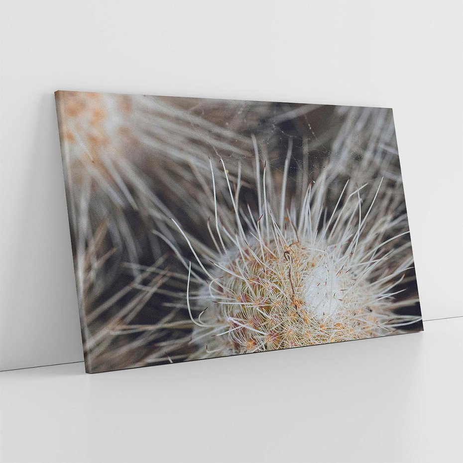 Obraz na płótnie 120x80 - Ulotna Piękność Natury - makro, dmuchawce