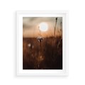 Plakat w ramie 40x50 - Spokój łąki pod zachodem słońca - zachód, słońca - rama biała