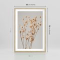 Plakat w ramie 50x70 - Delikatne gipsówki - gipsówka, suche - rama drewno