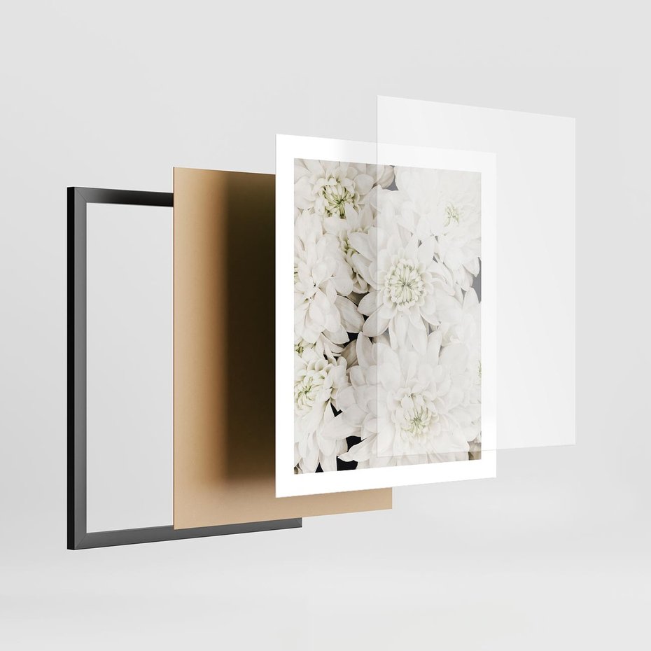 Plakat w ramie 40x50 - Białe Kwiaty: Płatki Delikatności - białe kwiaty, zbliżenie - rama czarna