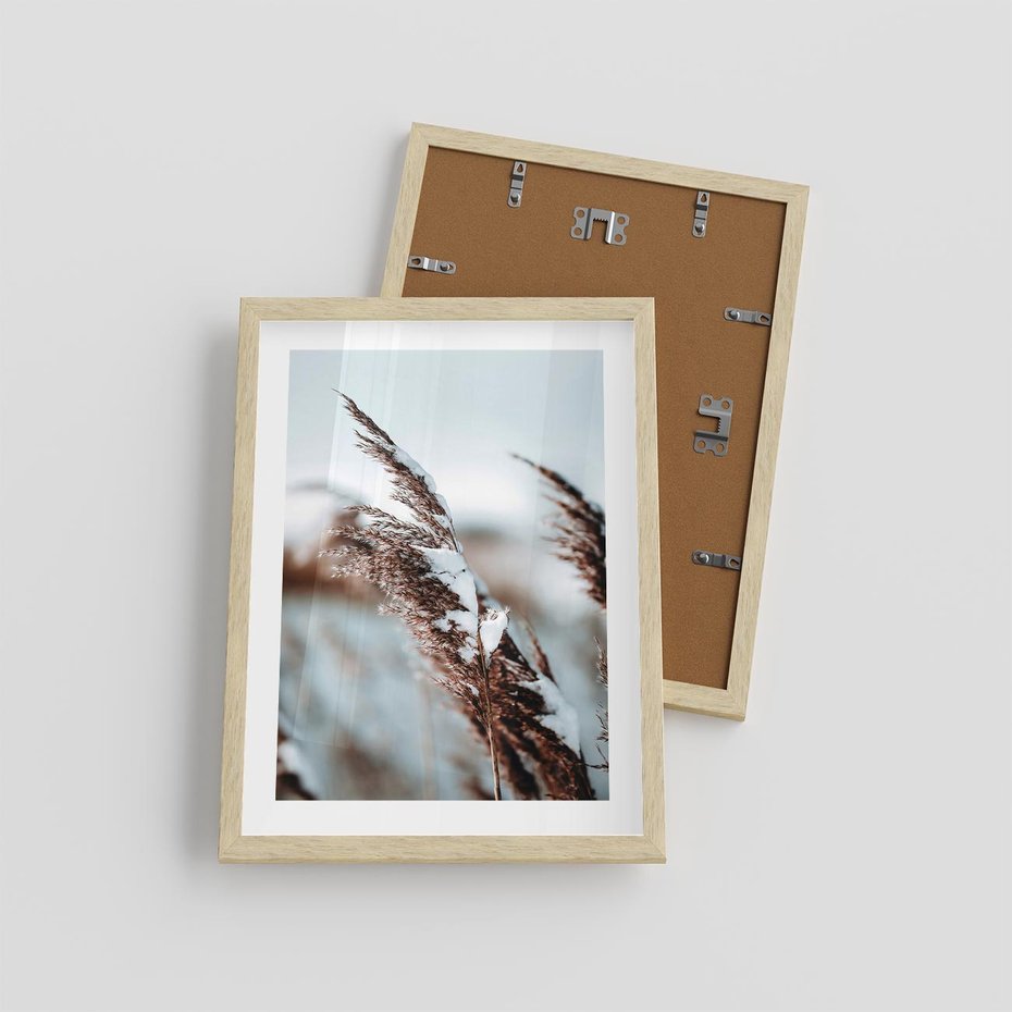 Plakat w ramie 30x40 - Zima na Suchych Trawach - suche trawy, śnieg wysokich na trawach - rama drewno