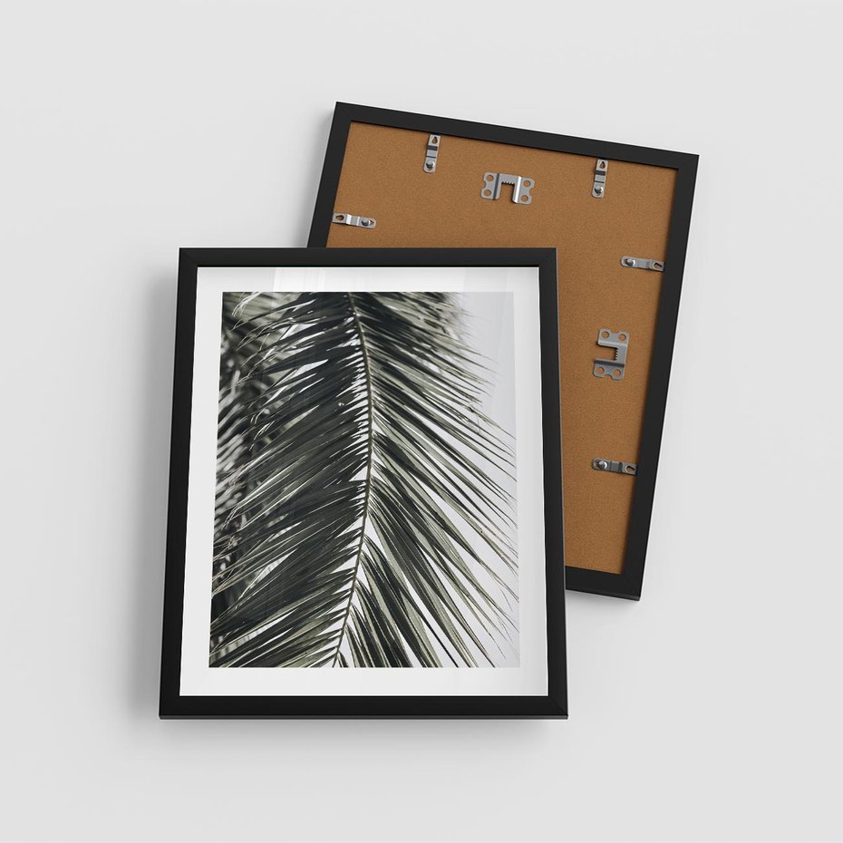 Plakat w ramie 40x50 - Liść Palmy: Egzotyczny Detal Natury - palma, liść palmy - rama czarna