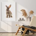 Plakat bez ramy 21x30 - Delikatna Zwierzęca Uroda - królik, zwierzę