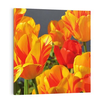 Obraz na płótnie 50x50 - Kwiatowa Harmonia - kwiaty, kwiat