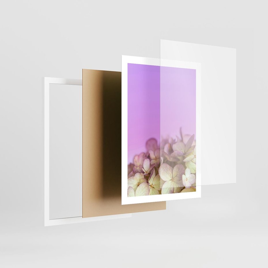 Plakat w ramie 50x70 - Kwiatowa Uroda - kwiaty, hortensje - rama biała