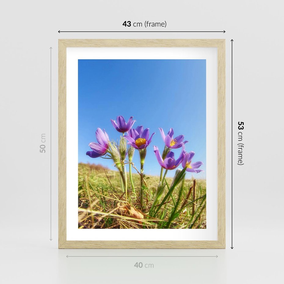 Plakat w ramie 40x50 - Kwiatowa siła łąki - kwiaty, łąka - rama drewno
