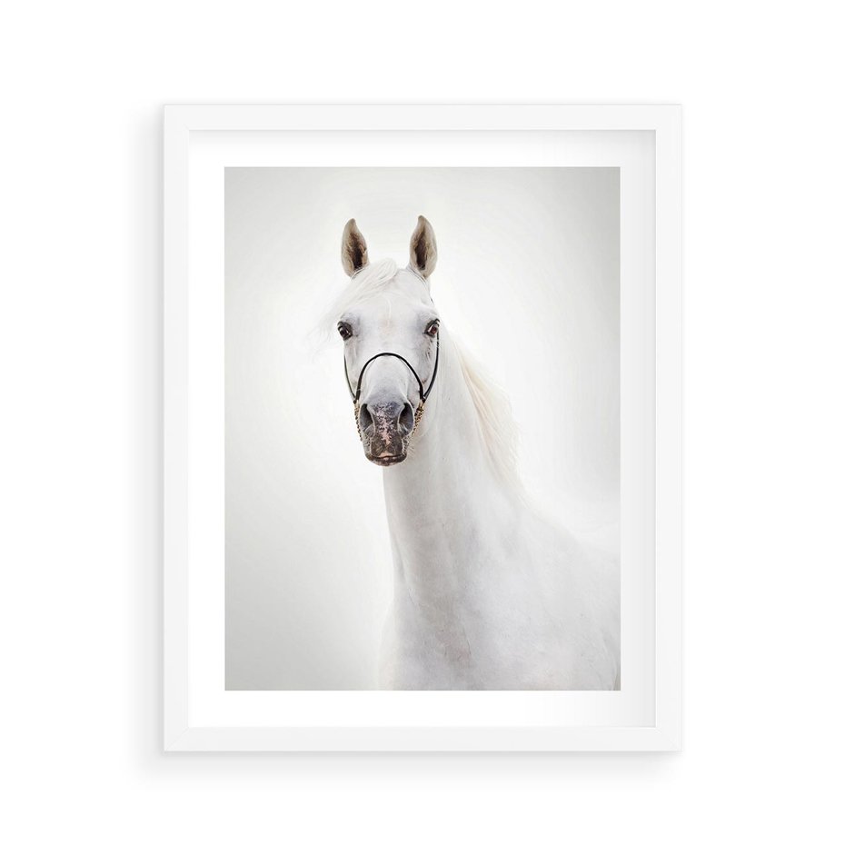 Plakat w ramie 40x50 - Elegancja białego konia - biały, koń - rama biała