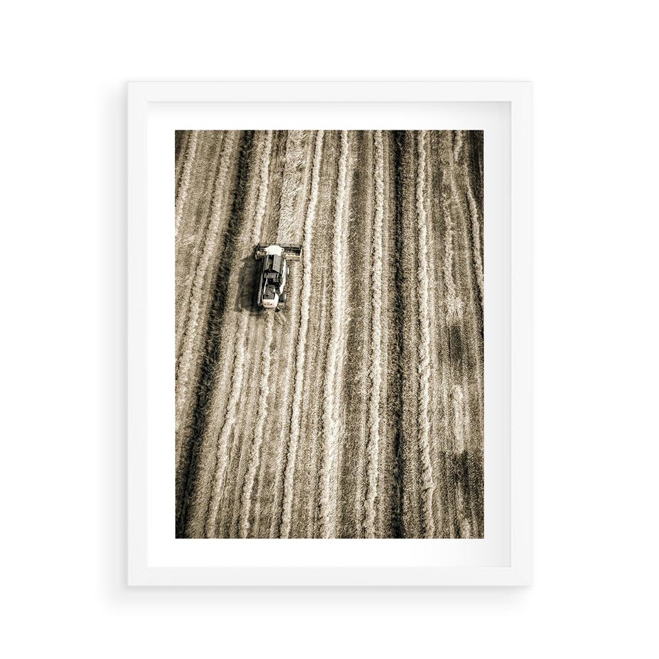 Plakat w ramie 40x50 - Sepia na Polu - kombajn, pole - rama biała