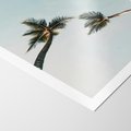 Plakat bez ramy 21x30 - Palmy i Niebo - palmy, ujęcie z dołu