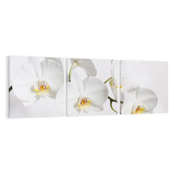 Obraz na płótnie 150x50 - Orchidea Kwiat - orchidea, kwiat