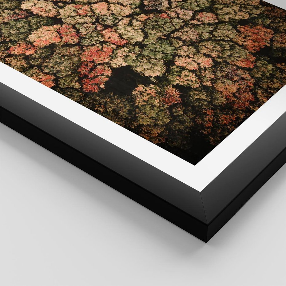 Plakat w ramie 50x70 - Jesień z Lotu Ptaka: Malowniczy Las - las jesienią z lotu ptaka - rama czarna